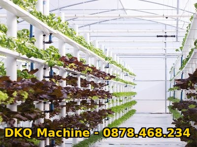 Dây chuyền sản xuất ống tiêm